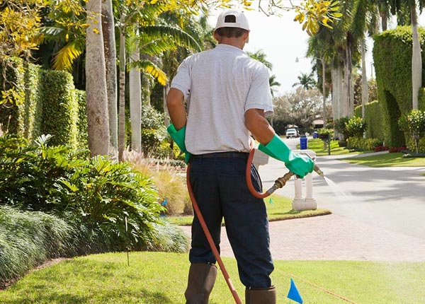 About Luthersburg PA Pest Control